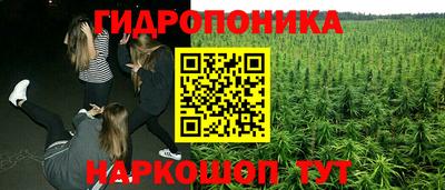 ALPHA PVP Моздок