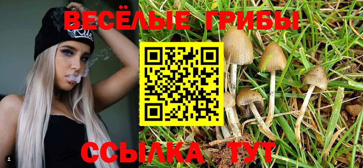 Истра  Псилоцибиновые грибы мицелий  Псилоцибиновые грибы Psilocybe  Вход с VPN 